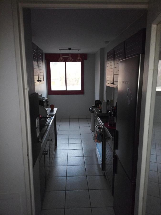 Апартаменты -- Le Refuge, A 50 Metres De La Gare -- Гренобль Экстерьер фото